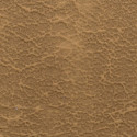 Carrara Allante™ Collection 54" - Parchment Carrara Allante™ Collection 54" - Parchment