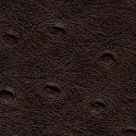 Denali 54" Vinyl Dark Brown Ostrich Denali 54" Vinyl Dark Brown Ostrich